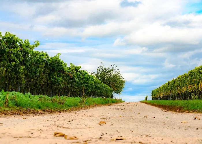 Annas Oase * Meckenheim (Rhineland-Palatinate)